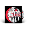 5 Seconds of Summer,  10th anniversary picture dic