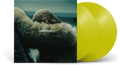 Beyonce Lemonade