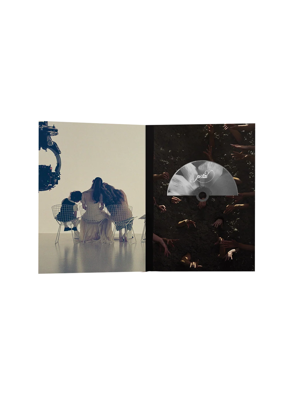 Ariana Grande petal exclusive tour edition zine cd