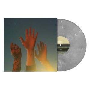 THE RECORD BOY GENIUS SILVER - Vinyl