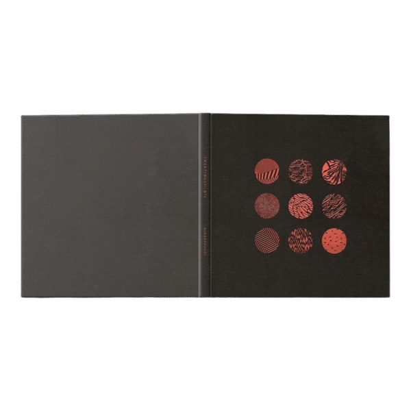 BLURRYFACE (10TH ANNIVERSARY) VINYL COFFEE TABLE BOOK - Imagen 2