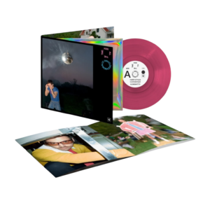 KISS ALL THE TIME. DISCO, OCCASIONALLY - Rosa, Vinyl