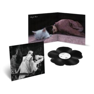 Not For Radio - Bloom - Vinyl